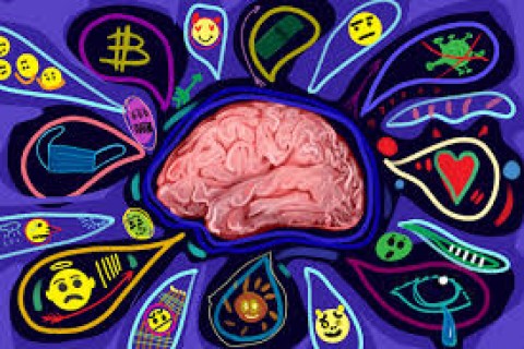 inteligência Emocional: O Poder de Conhecer e Gerenciar Nossas Emoções